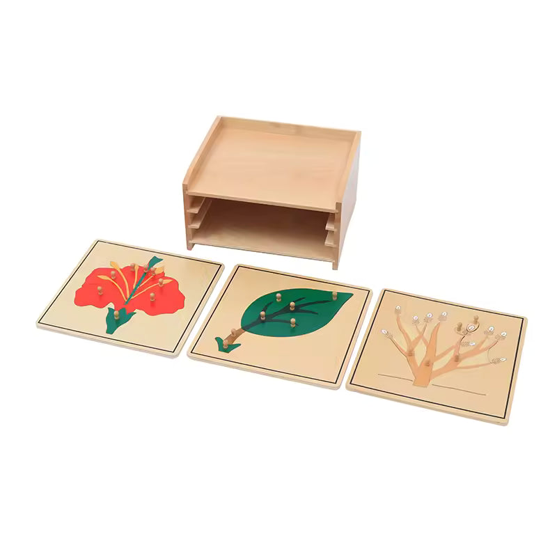 Wooden Botany Cabinet Puzzle