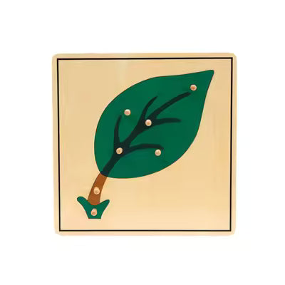 Wooden Botany Cabinet Puzzle