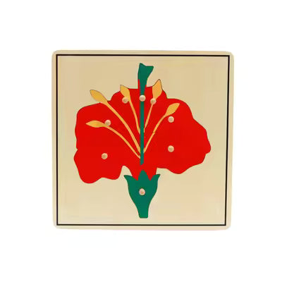 Wooden Botany Cabinet Puzzle