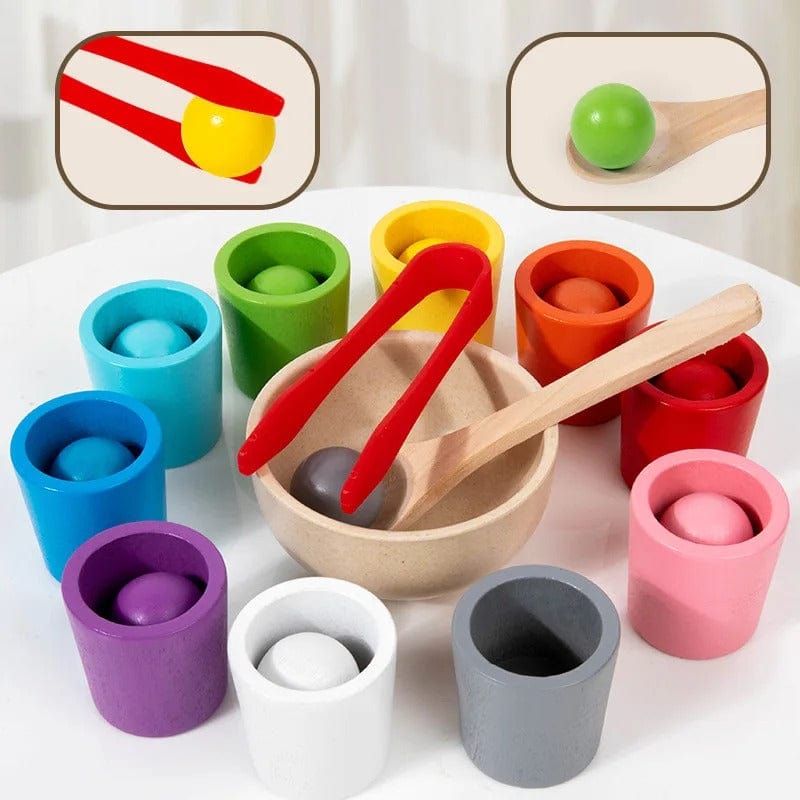 Sorting Balls and Cups Learning Toy