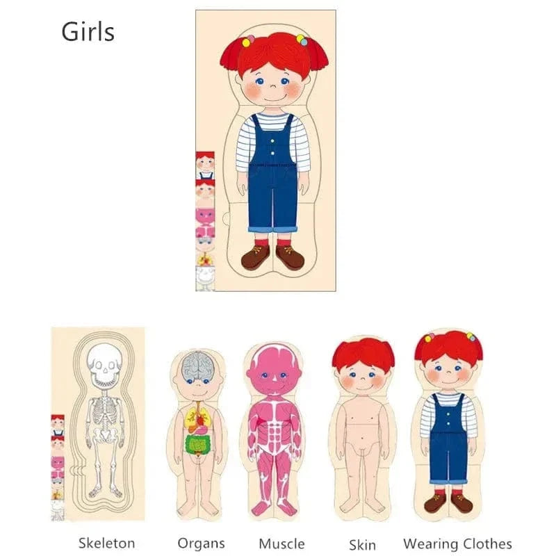 Human Body Wooden Puzzle for Kids
