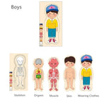 Human Body Wooden Puzzle for Kids