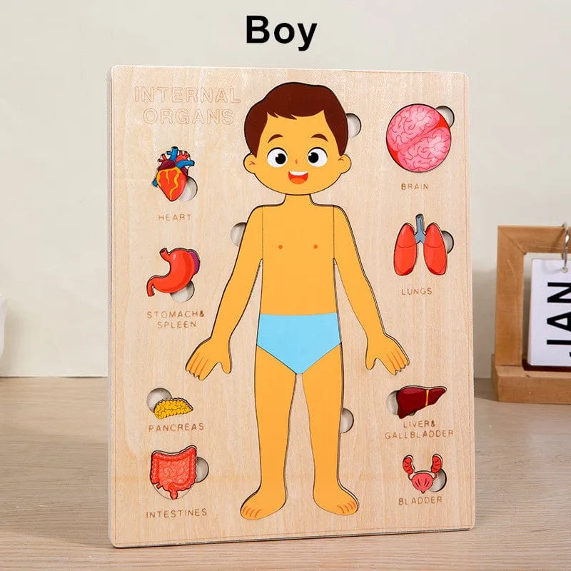 Human Body Wooden Puzzle for Kids