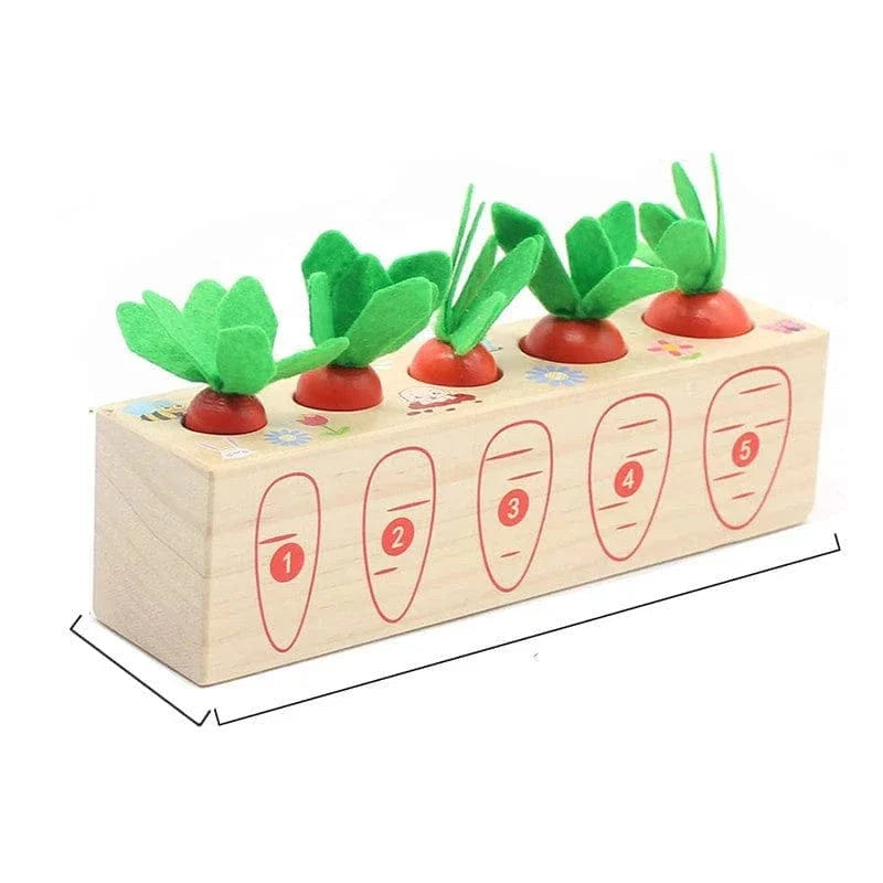 Wooden Carrot Sorting Toy
