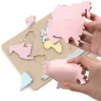 Continent Map Puzzle
