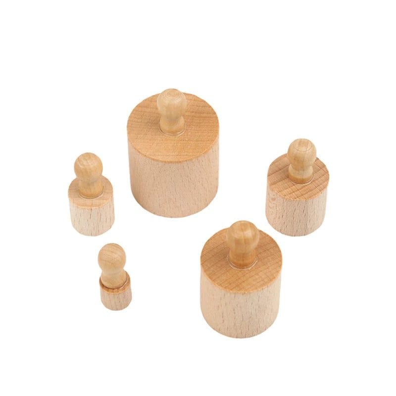 Wooden Cylinder Sorting Puzzle