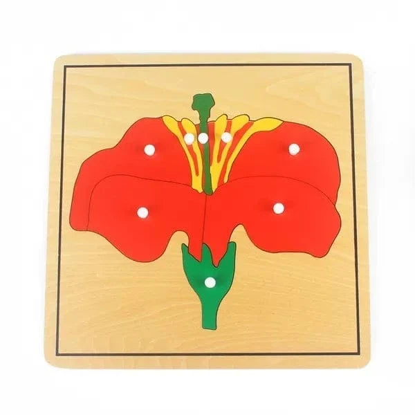 Parts of the Flower Puzzle