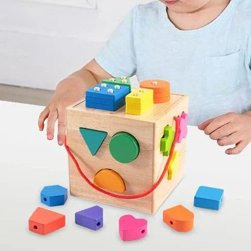 Wooden Shape Sorter Toy