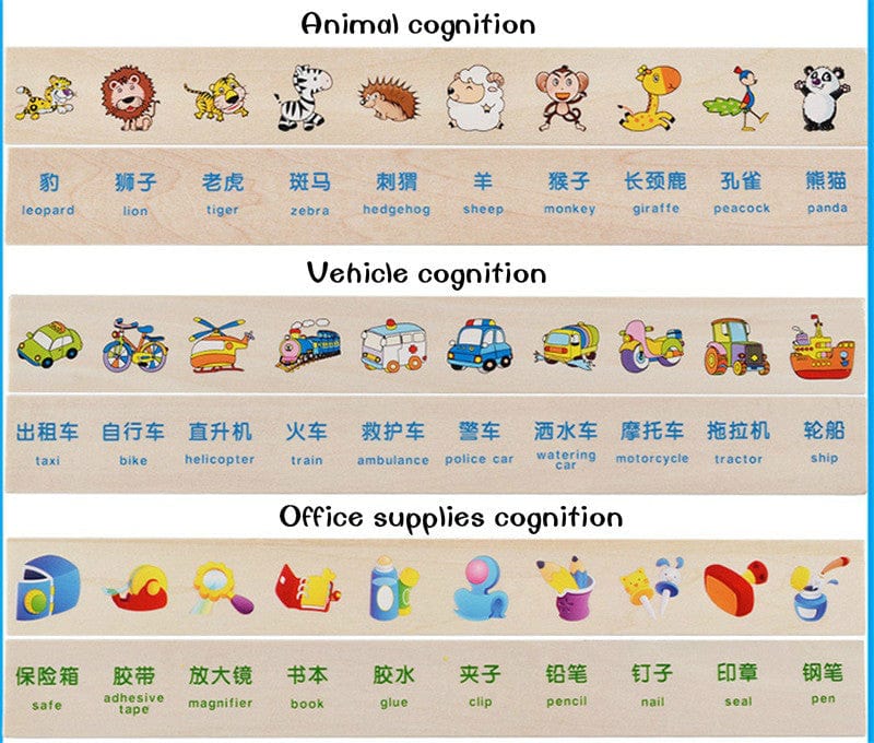 Sorting & Matching Educational Toy for Kids