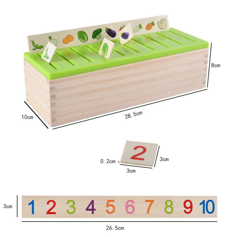 Sorting & Matching Educational Toy for Kids