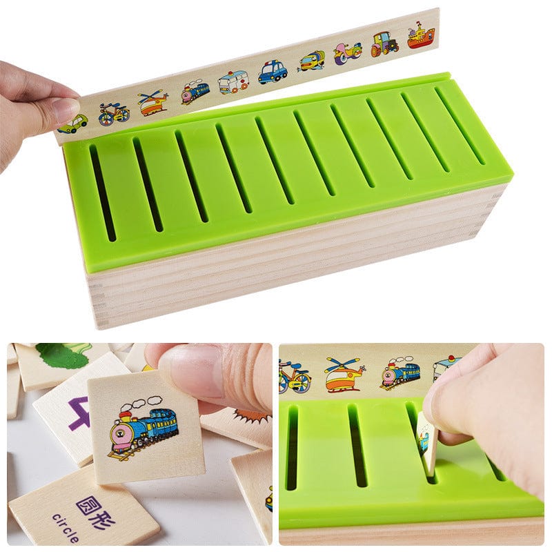 Sorting & Matching Educational Toy for Kids