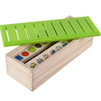 Sorting & Matching Educational Toy for Kids