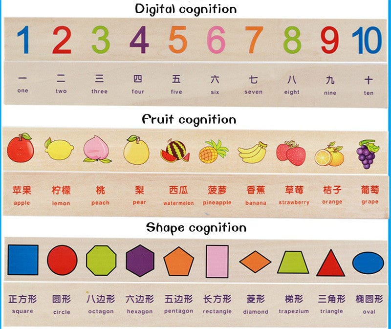 Sorting & Matching Educational Toy for Kids