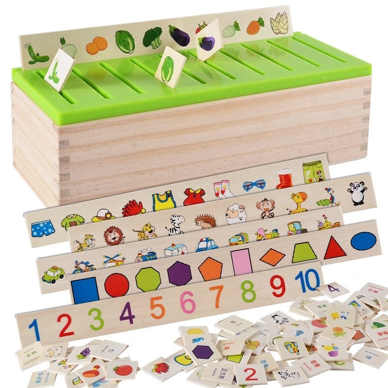 Sorting & Matching Educational Toy for Kids