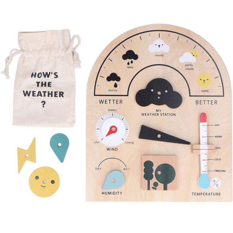 Wooden Montessori Weather Activity Board
