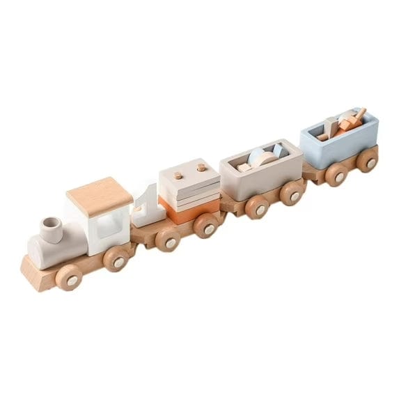Wooden Montessori Train Set